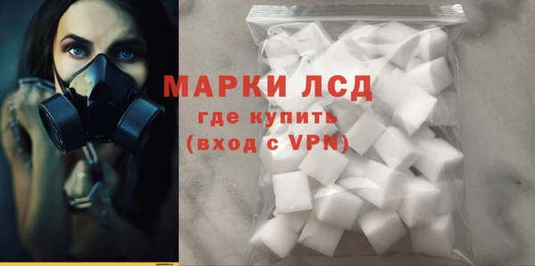 крисы Коряжма