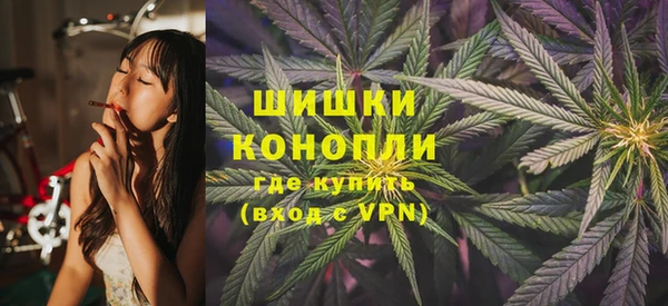 крисы Коряжма