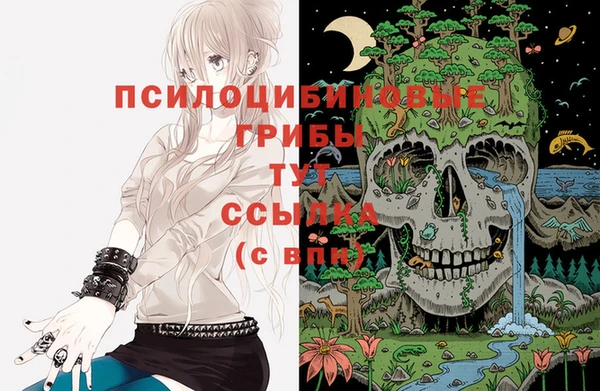 мет Кодинск