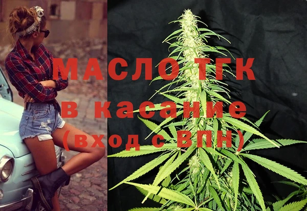 крисы Коряжма