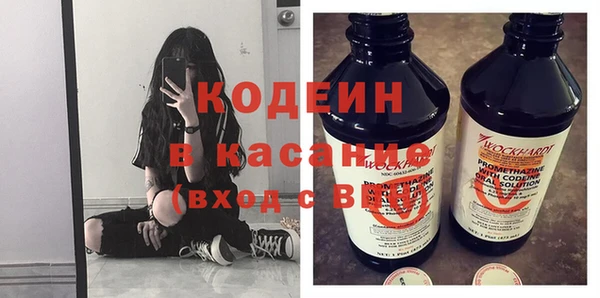крисы Коряжма