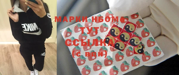 крисы Коряжма