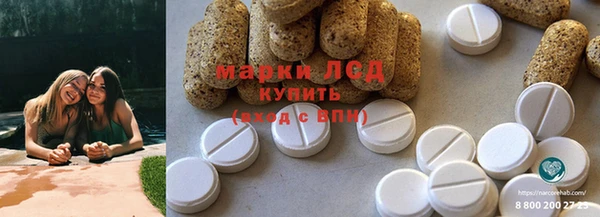 крисы Коряжма